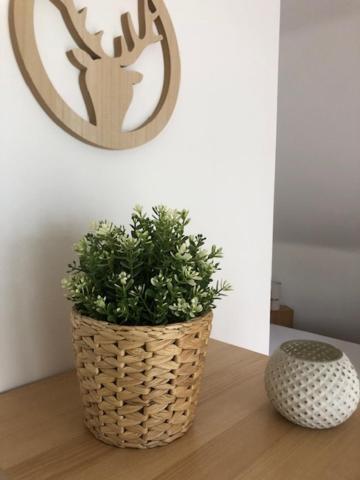 Fewo_Ortszeit Haintchen Extérieur photo